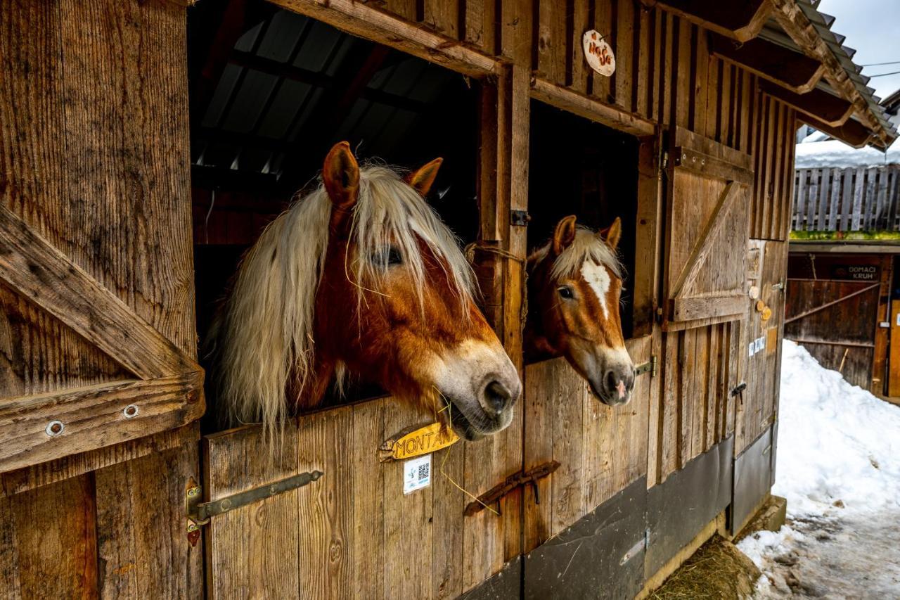 Apartments Farm House Uric Єсеніце Екстер'єр фото