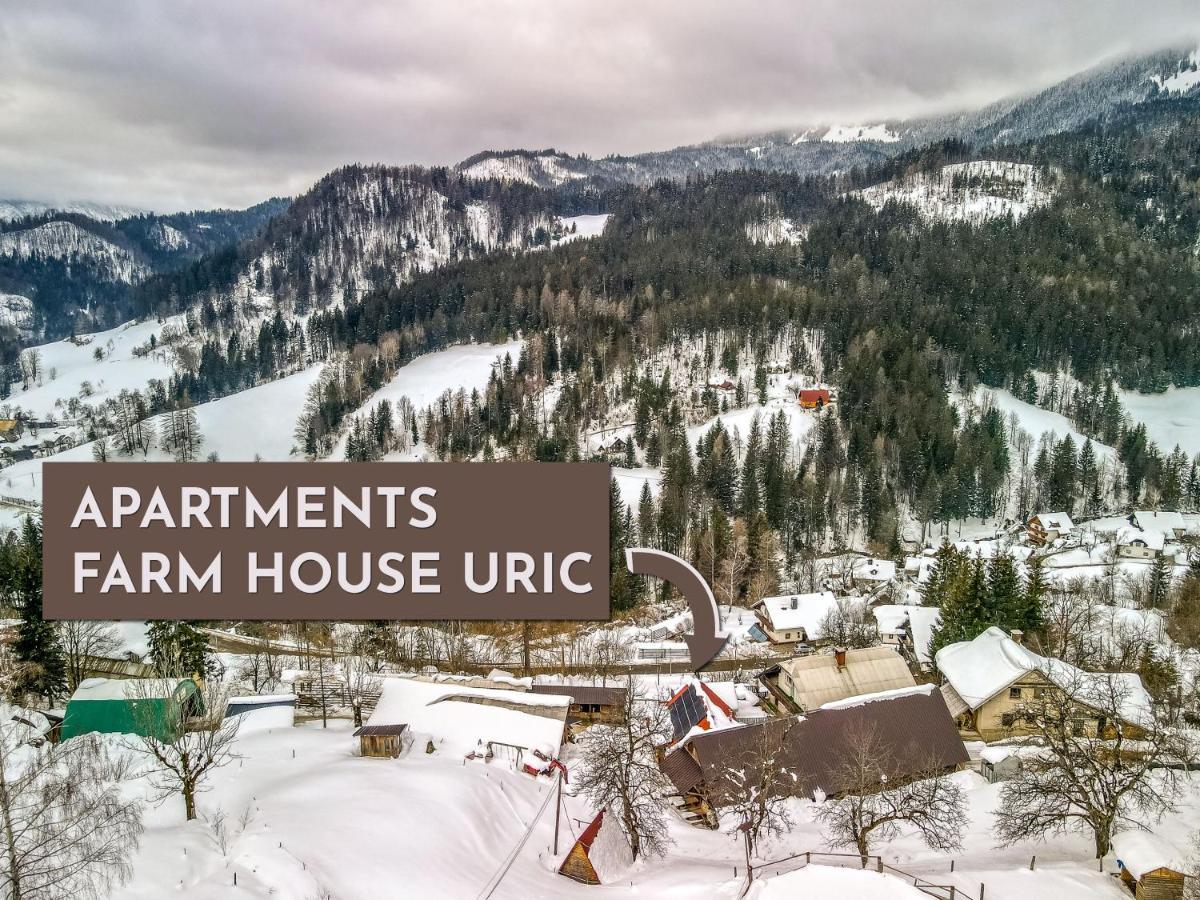 Apartments Farm House Uric Єсеніце Екстер'єр фото