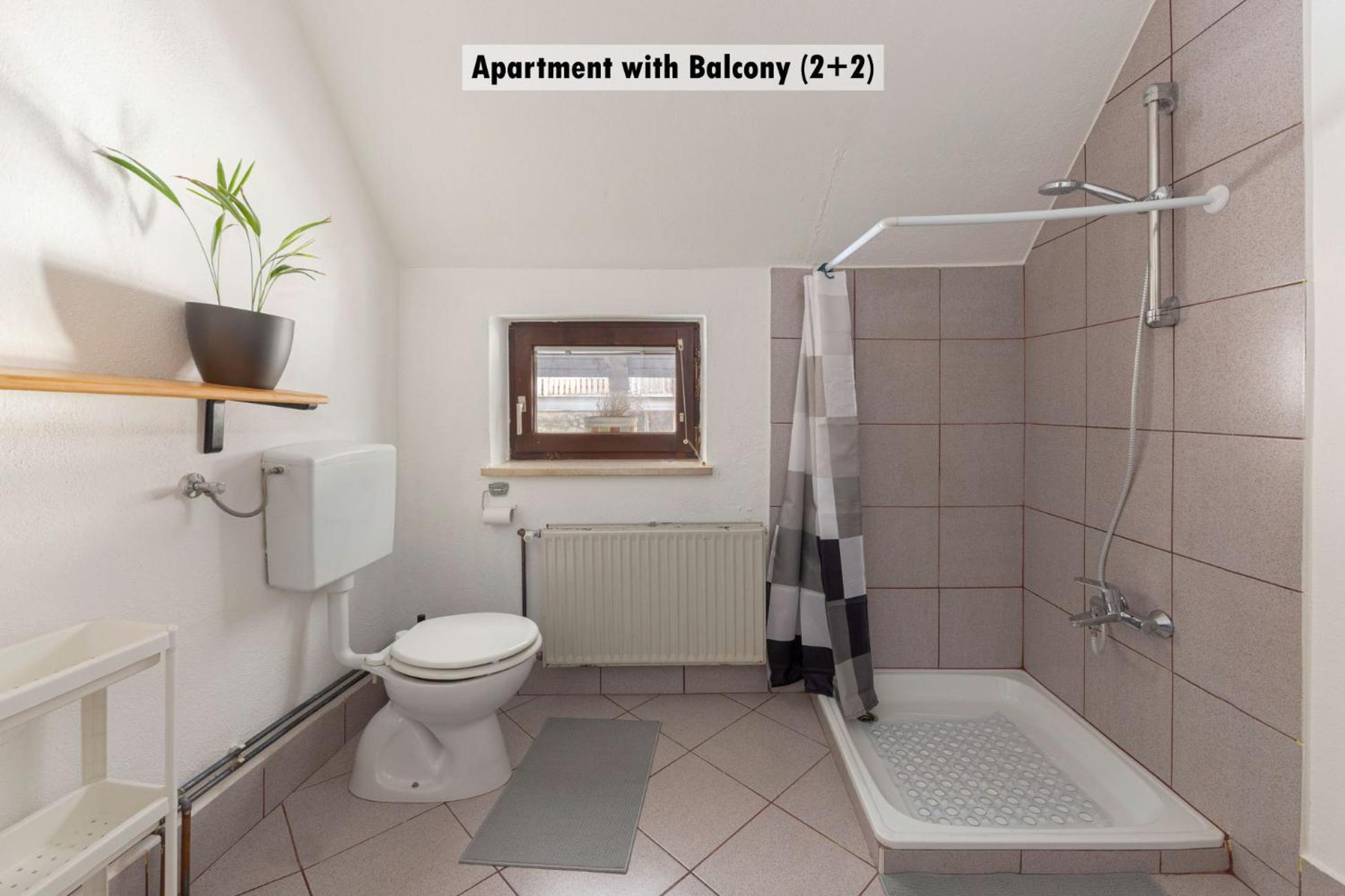 Apartments Farm House Uric Єсеніце Екстер'єр фото